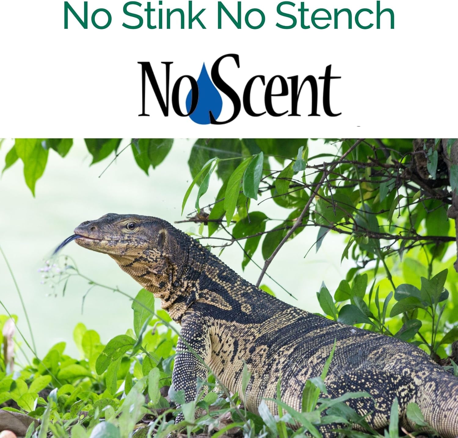 No Scent Reptile Tank Cleaner Spray & Pet Odor Management for Bearded Dragon, Turtle, Lizard Terrarium Freshener (8 Fl Oz / 237 Ml)