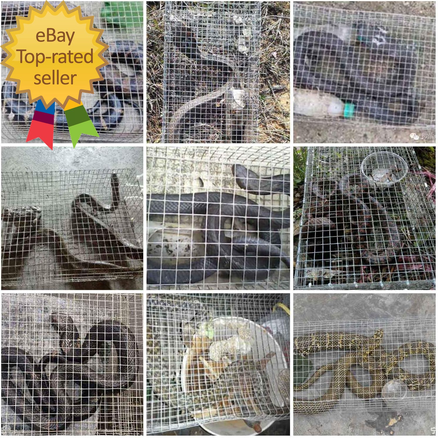 The Amazing Humane Snake Trap Catches and Release All Kinds of Snakes Reusable!