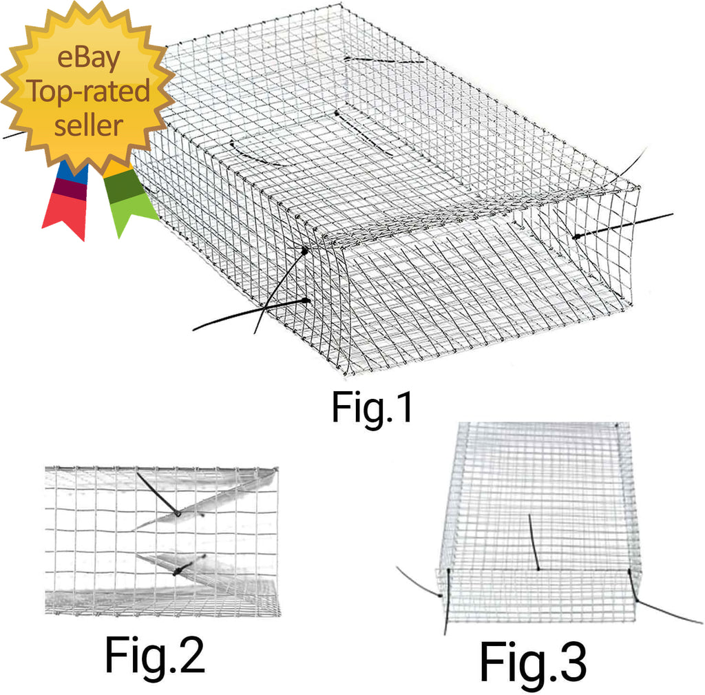 The Amazing Humane Snake Trap Catches and Release All Kinds of Snakes Reusable!