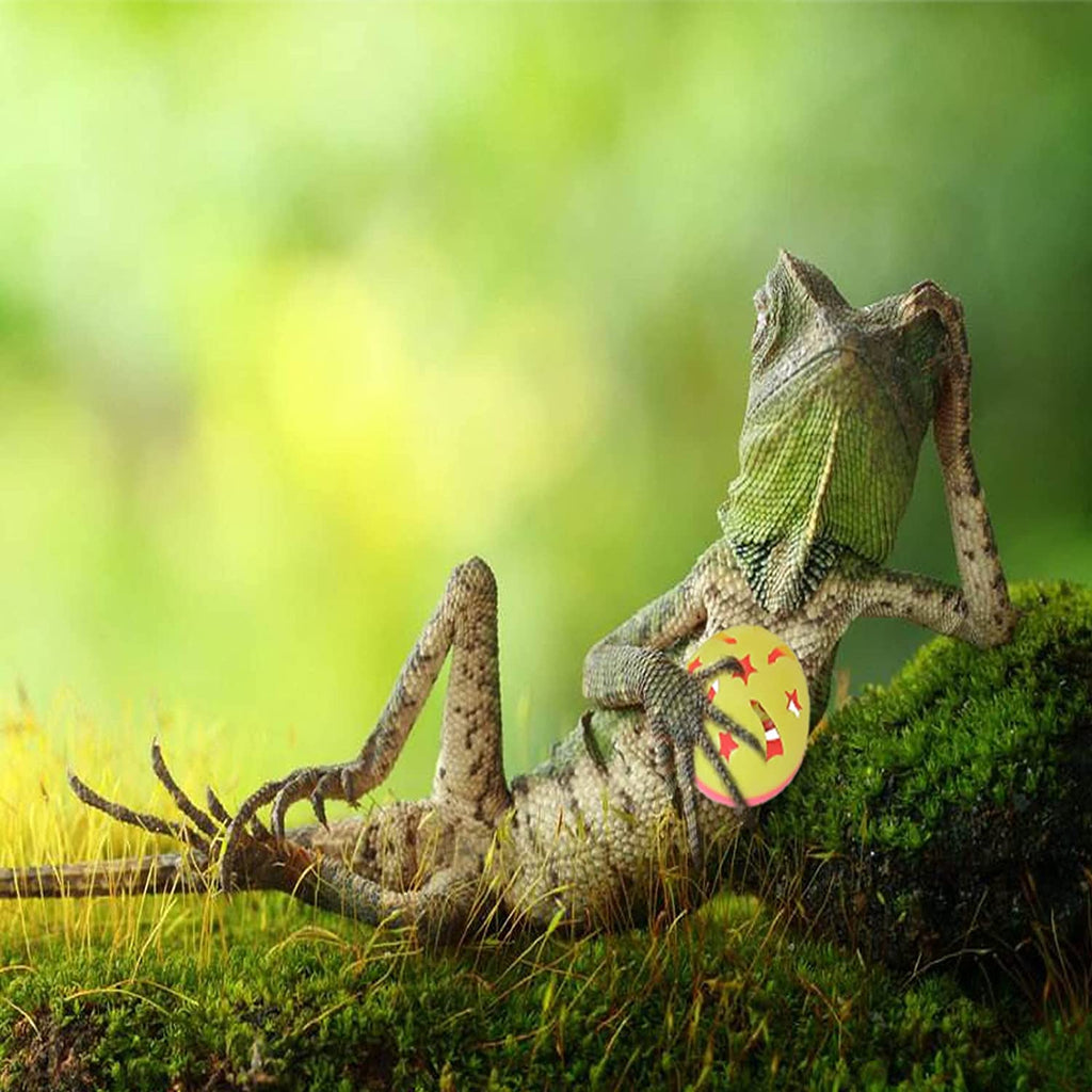 Juguetes De Dragon Barbudo Bolas De Juguete Para Reptiles Lagartos Con Ventosas